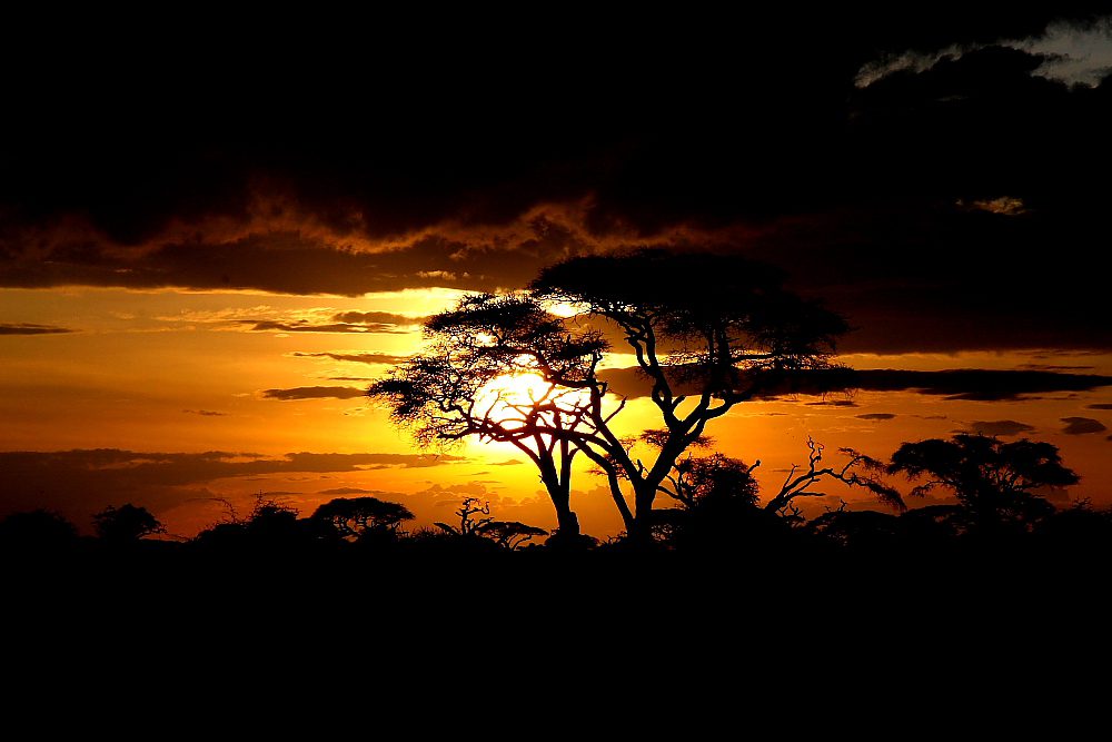 Kenya_tramonto_11.jpg