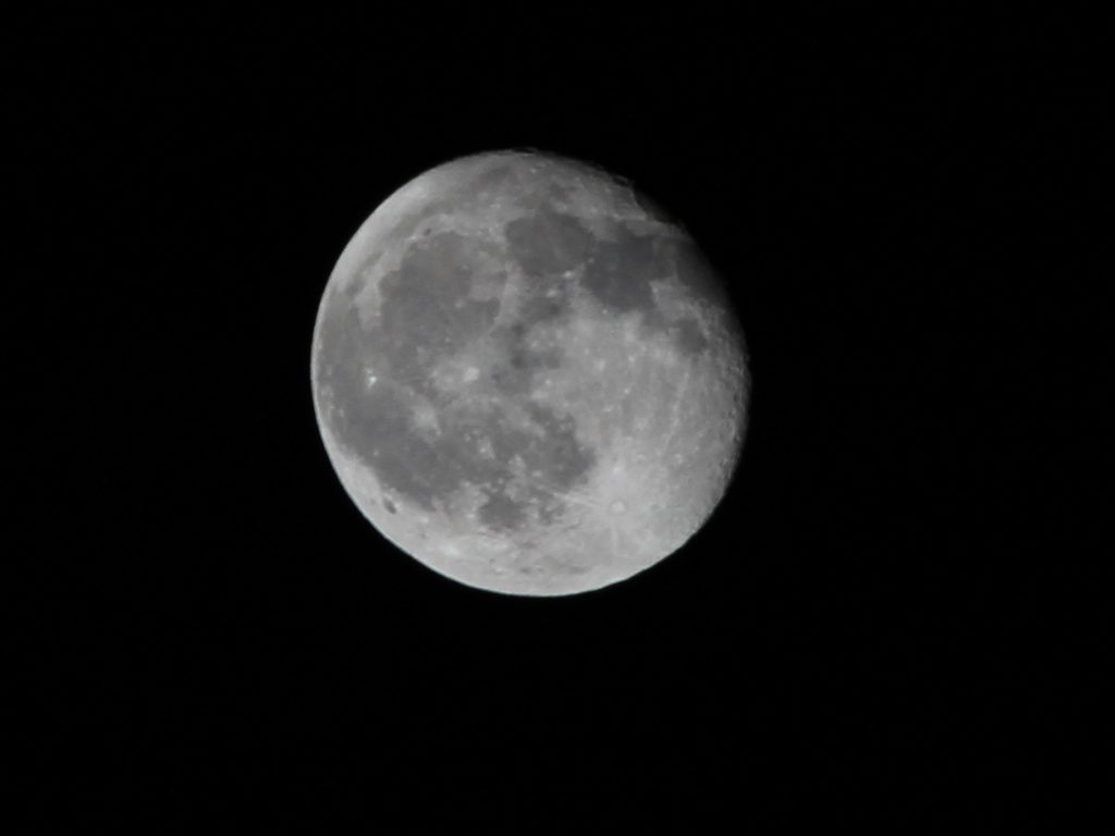 luna1_2014-03-19.jpg