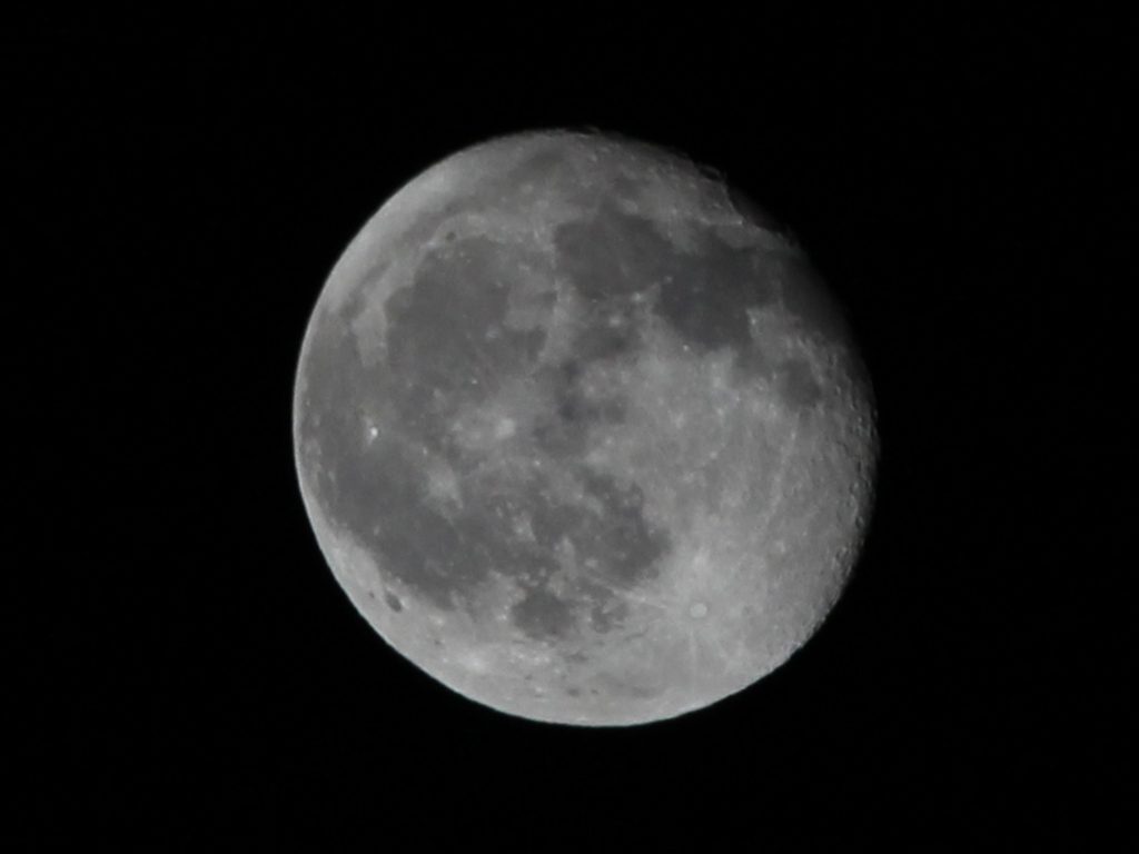 luna2_2014-03-19.jpg