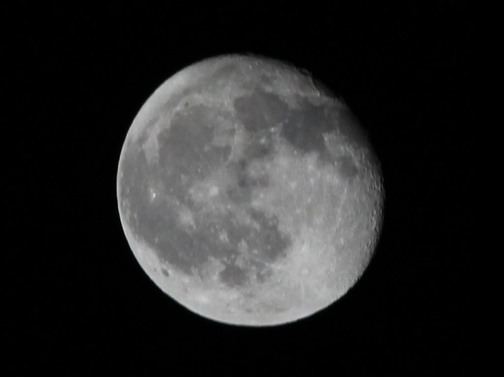 luna4_2014-03-19.jpg