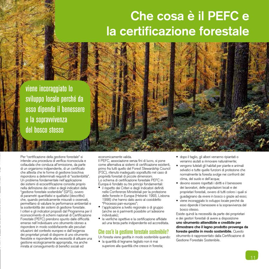 Catalogo_PEFC_2013-14_CANONIANI-4.jpg