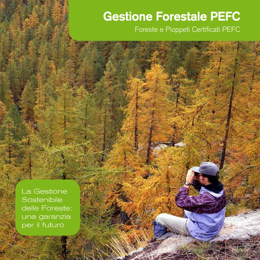 Catalogo_PEFC_2013-14_CANONIANI-8.jpg