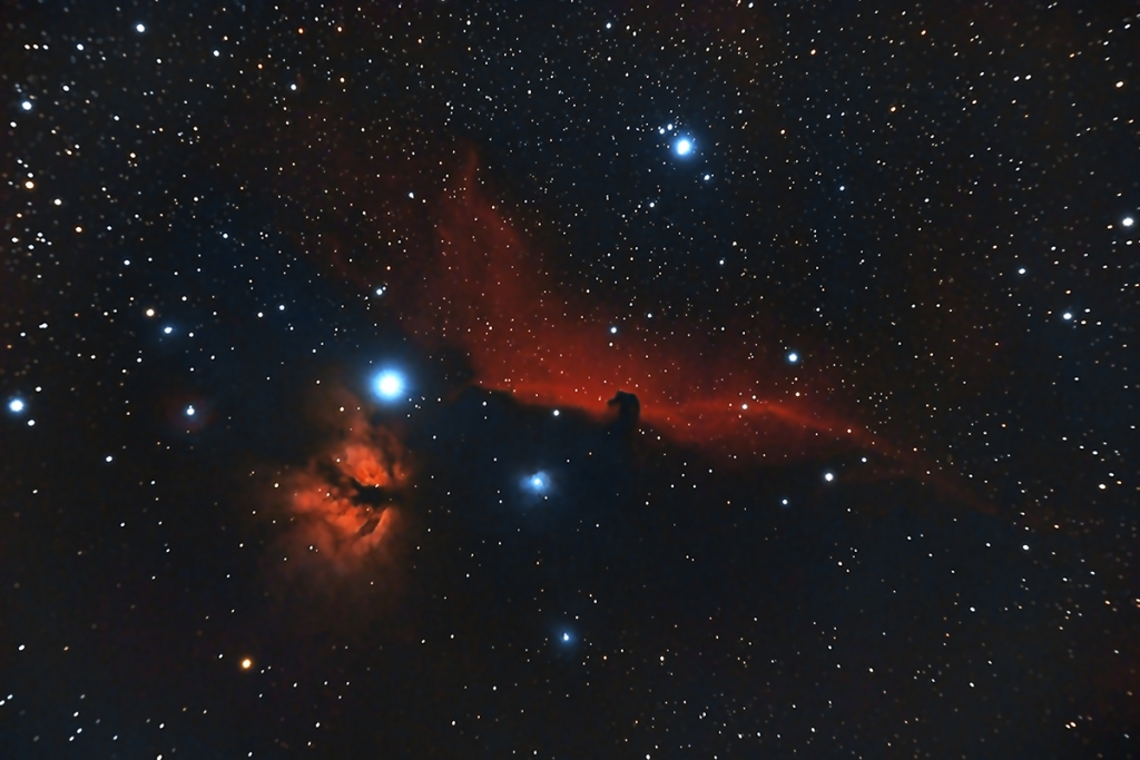 Horsehead16Gennaio2016copy.jpg