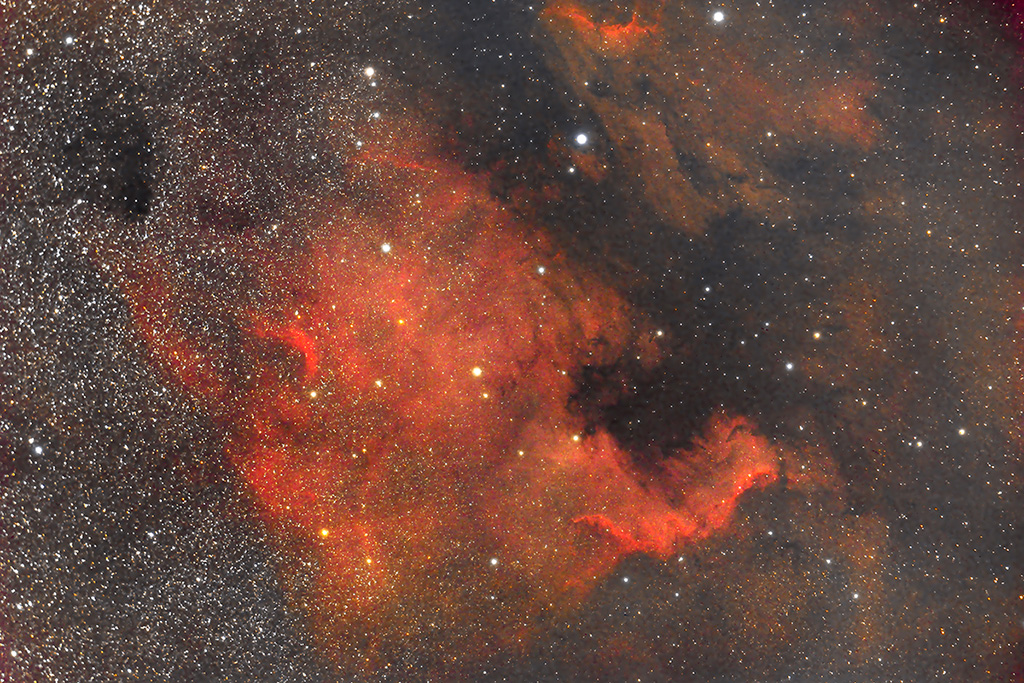 NGC-7000-North-America-Cygnus--6-Giugno-2016.jpg